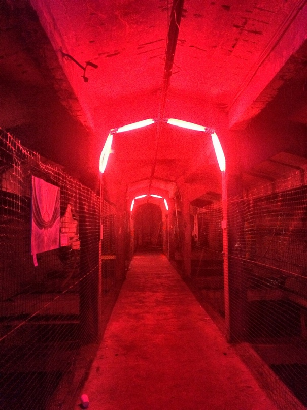 Мария Спиридонова | Санкт-Петербург