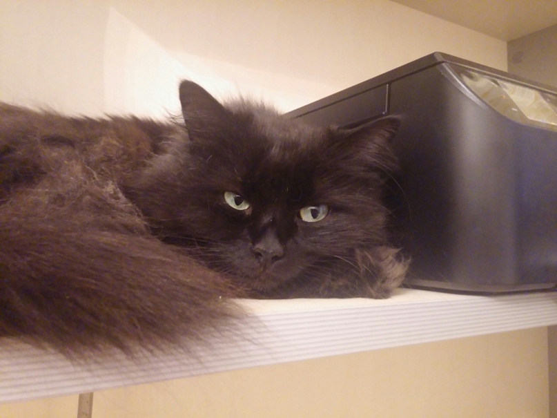 Мария Дмитриева | Москва