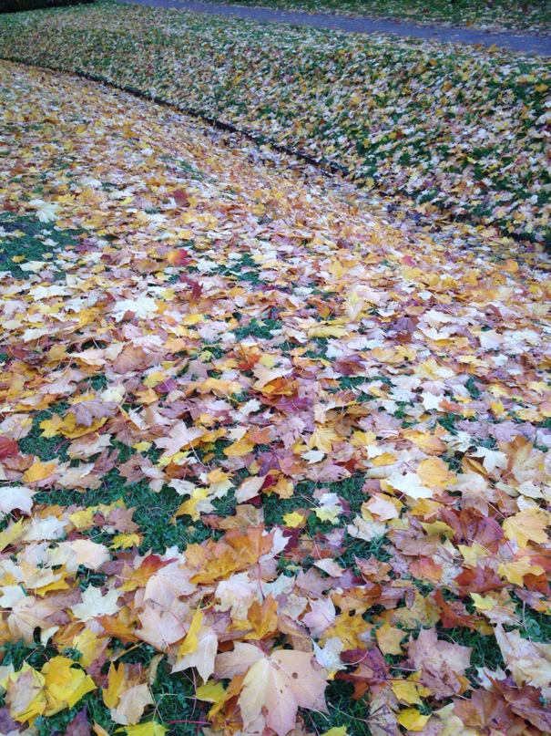 Ольга Горних | Санкт-Петербург