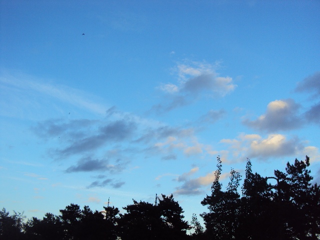 Сергей Лаврентьев | Дмитров