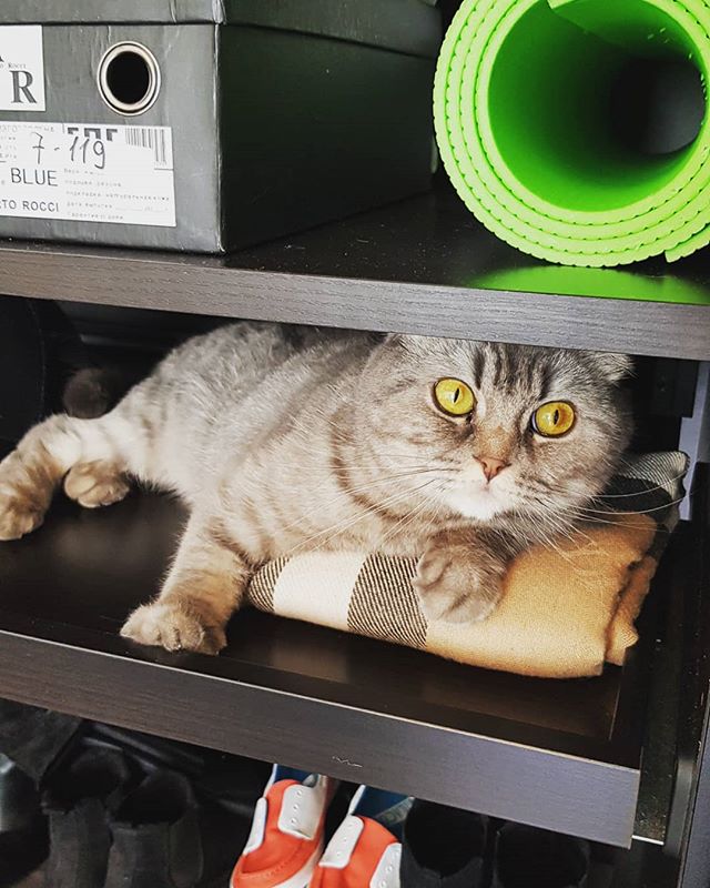 Катерина Кондратьева | Санкт-Петербург