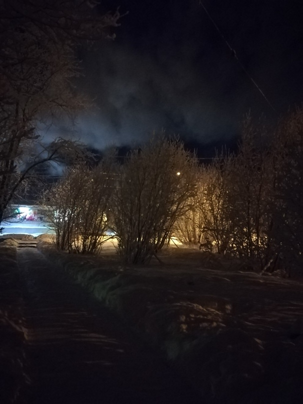 Вера Цветкова | Архангельск