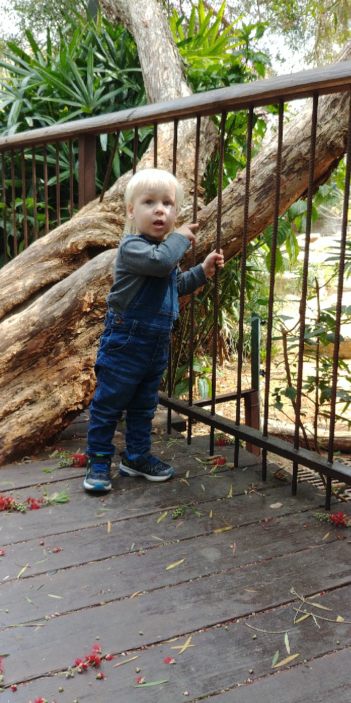 Михаил Берман | Набережные Челны