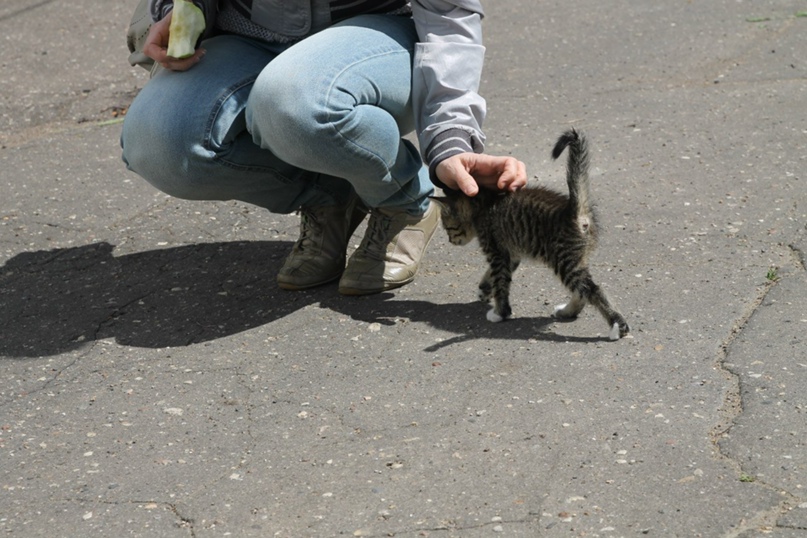 Елена Бессонова | Москва