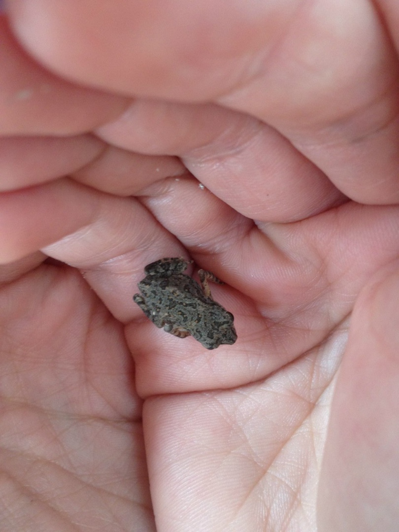 Елена Дягилева | Пермь