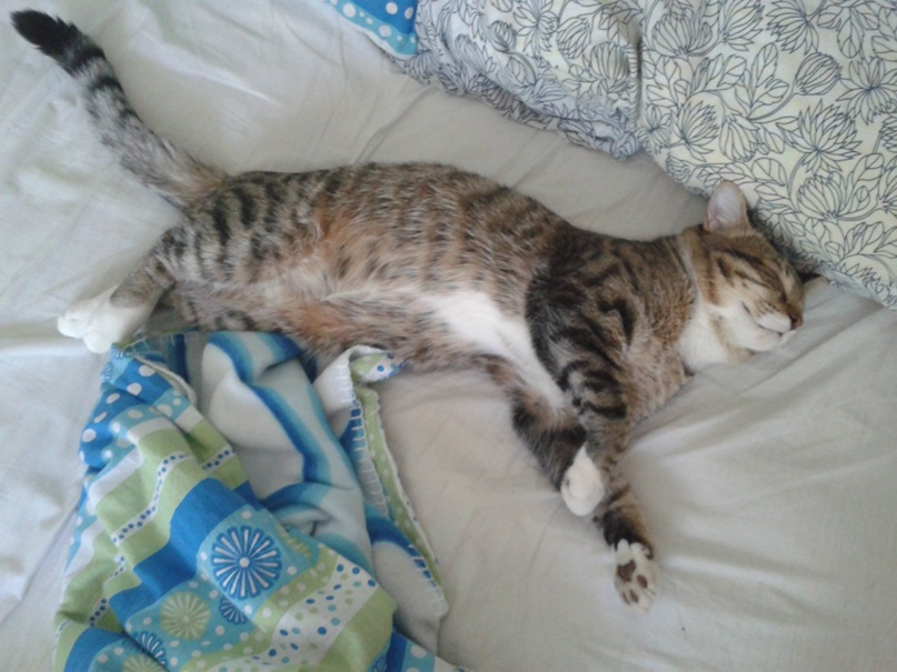 Мария Батаева ツМуркаツ | Санкт-Петербург