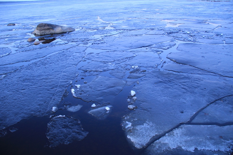 Михаил Кононов |