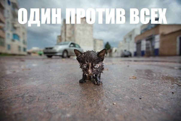 Наталья Селина | Оренбург
