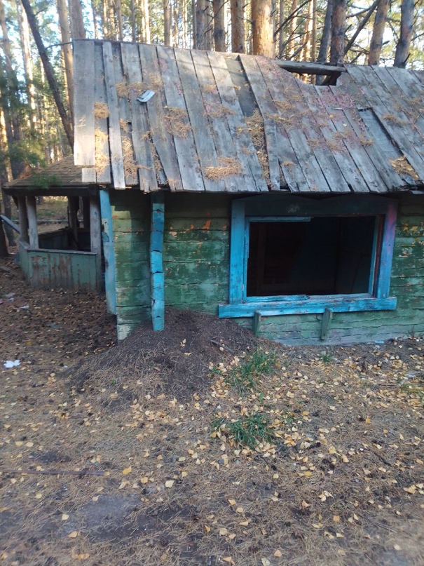 Гульназ Закирова | Набережные Челны