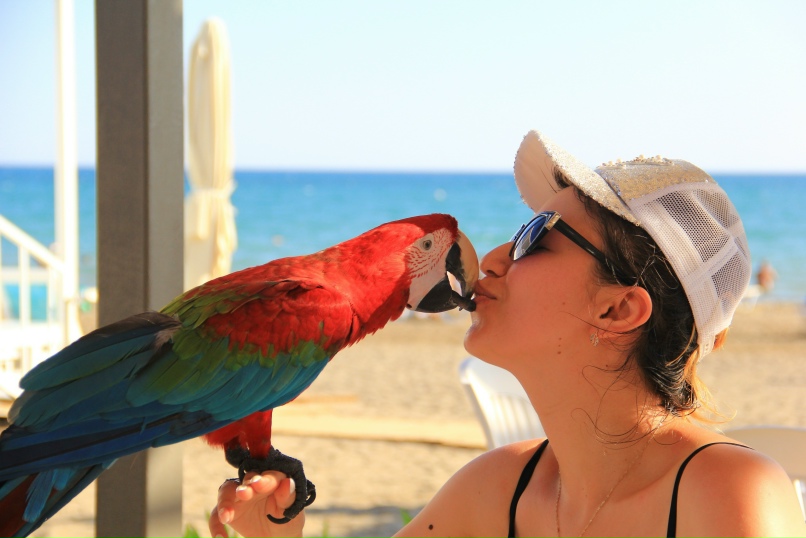 Ирина Чистова | Владимир (село)