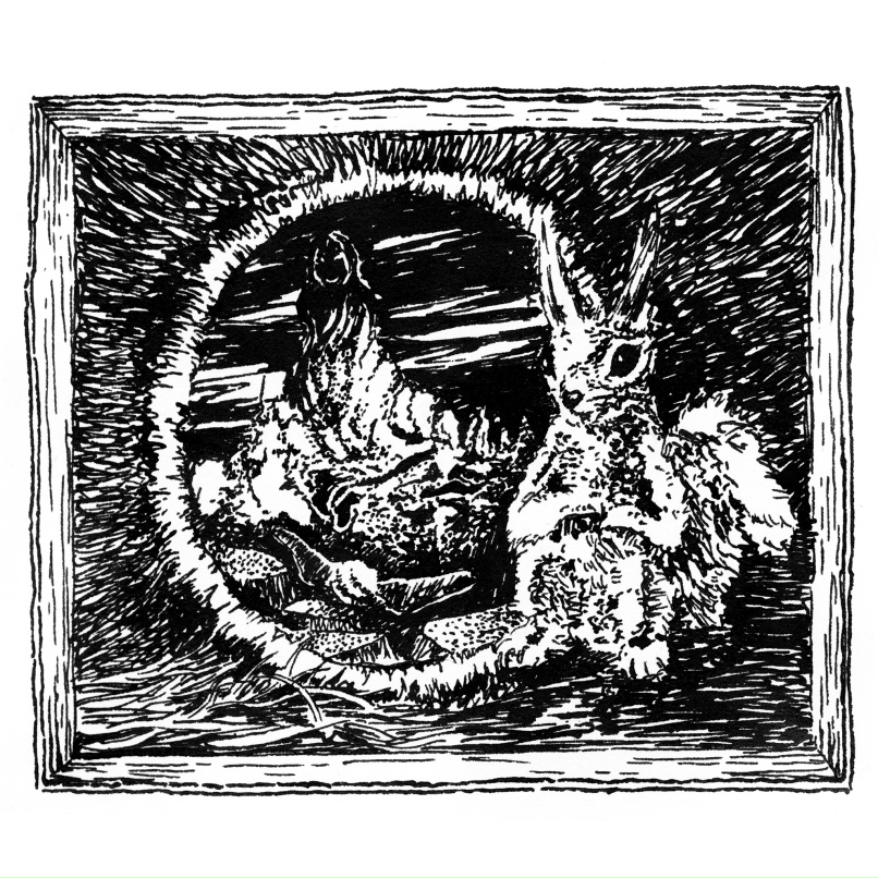 Александр Быковский | Ростов-на-Дону