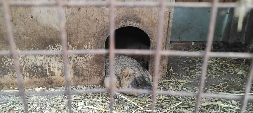 Евгений Будник | Санкт-Петербург