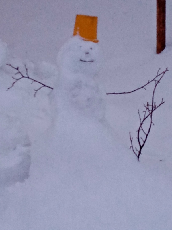 Наталья Перепелица | Барнаул