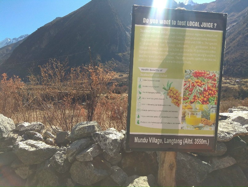 Мария Токарева | Санкт-Петербург