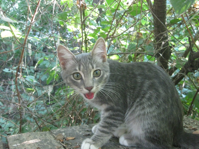 Татьяна Федоренко |