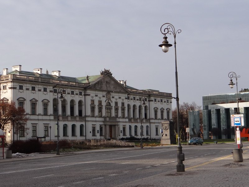 Спатолобус Почтипрямостоячий | Москва
