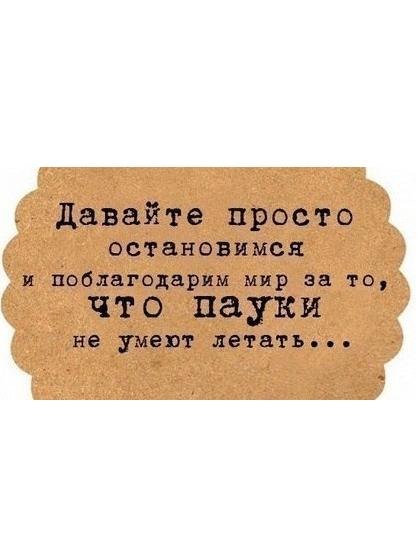 Денис Лаврик Noomko | Кривой Рог