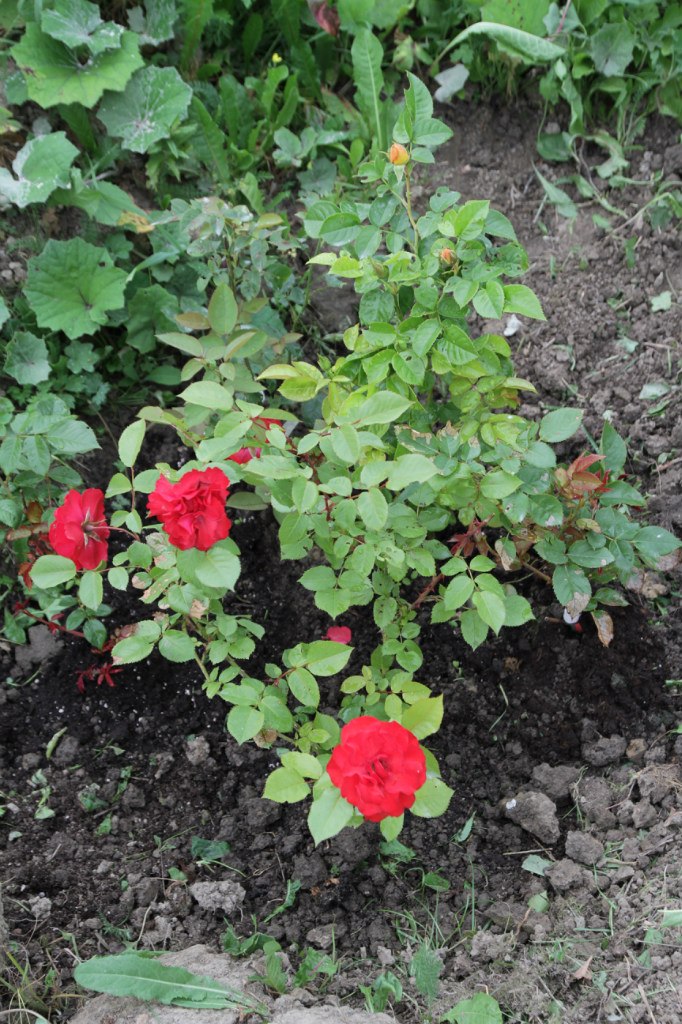 Анна Glushenkova | Санкт-Петербург