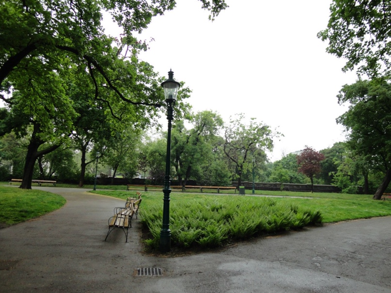 Наталья Ляшенко | Киев