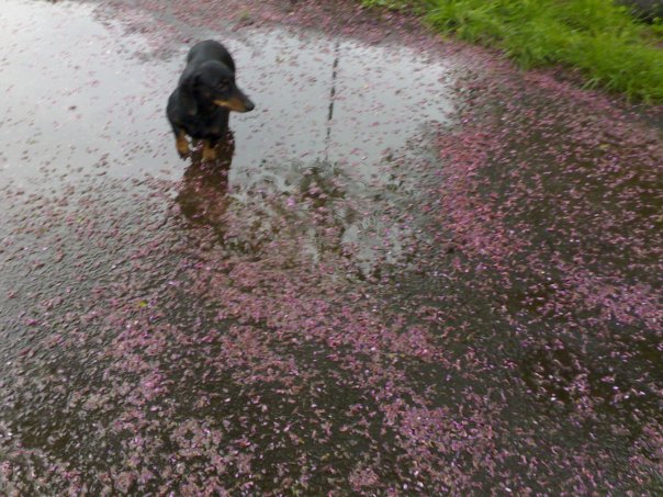 Ольга Полищук Джоновна | Milano