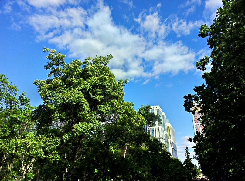 Роман Жарков | Москва