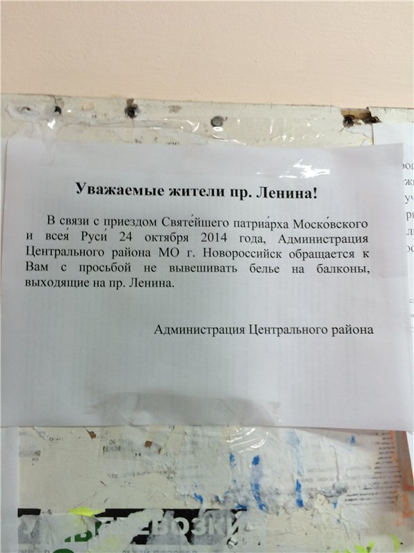 Елена Пупкова | Новосибирск