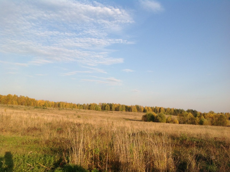 Ирина Гончарова | Санкт-Петербург