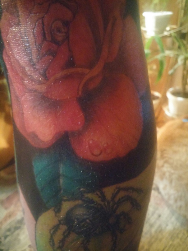 Дмитрий Цыганок | Первомайск