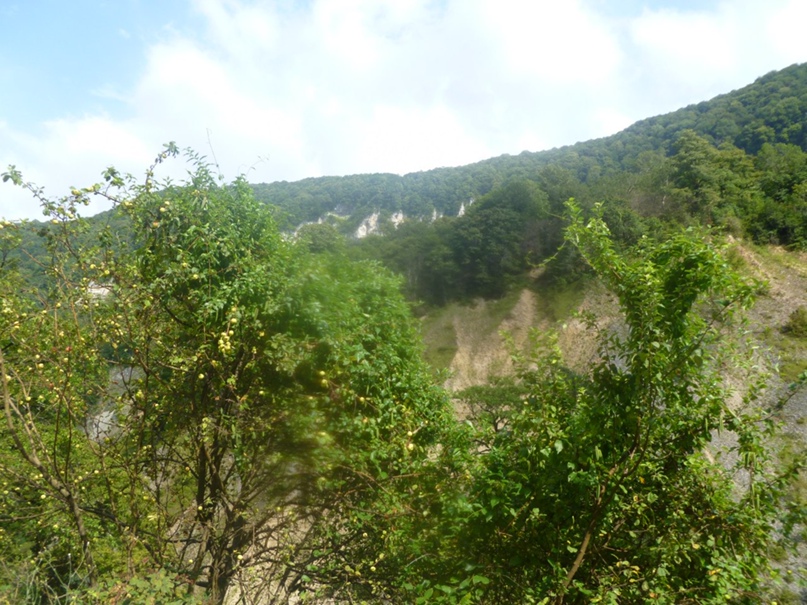 Ксения Белицкая | Санкт-Петербург