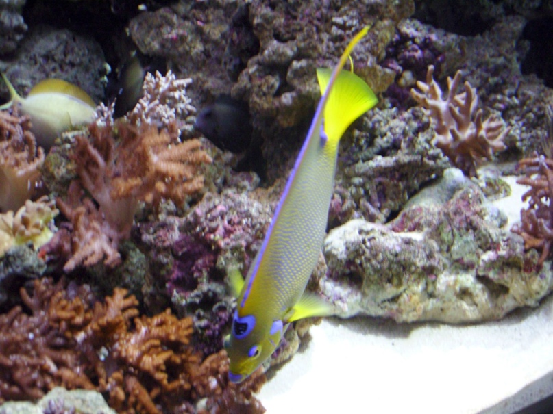 Юлия Смолякова | Москва