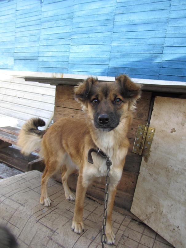 Анна Войнова | Оренбург