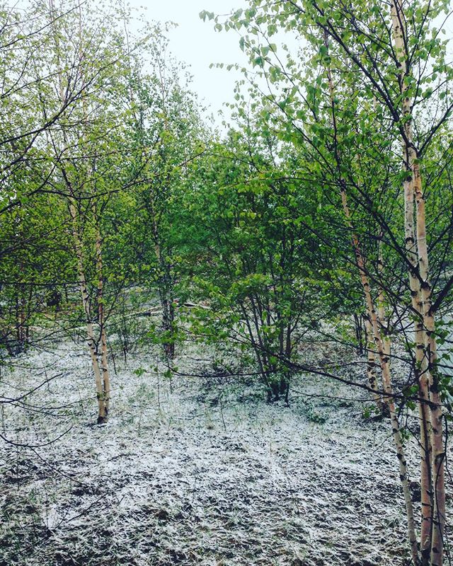 Руслан Исламов | Уфа