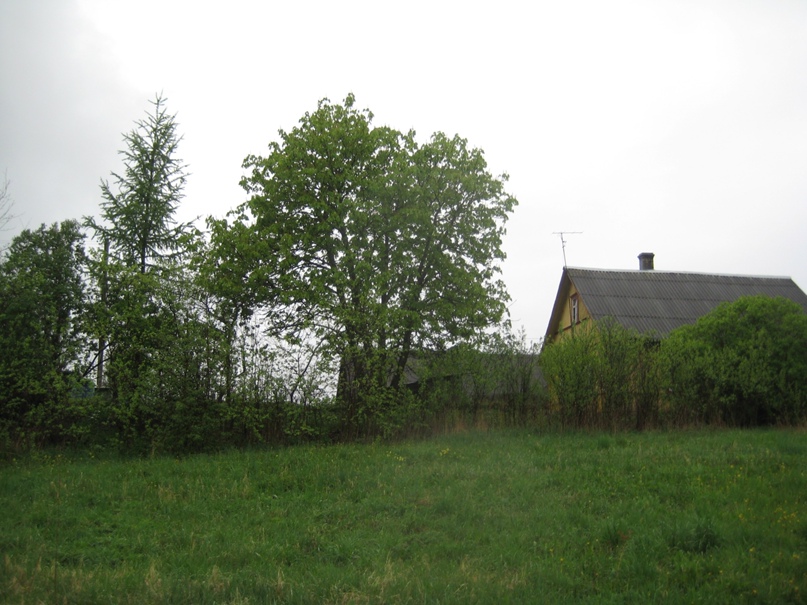 Любовь Яковлева | Санкт-Петербург