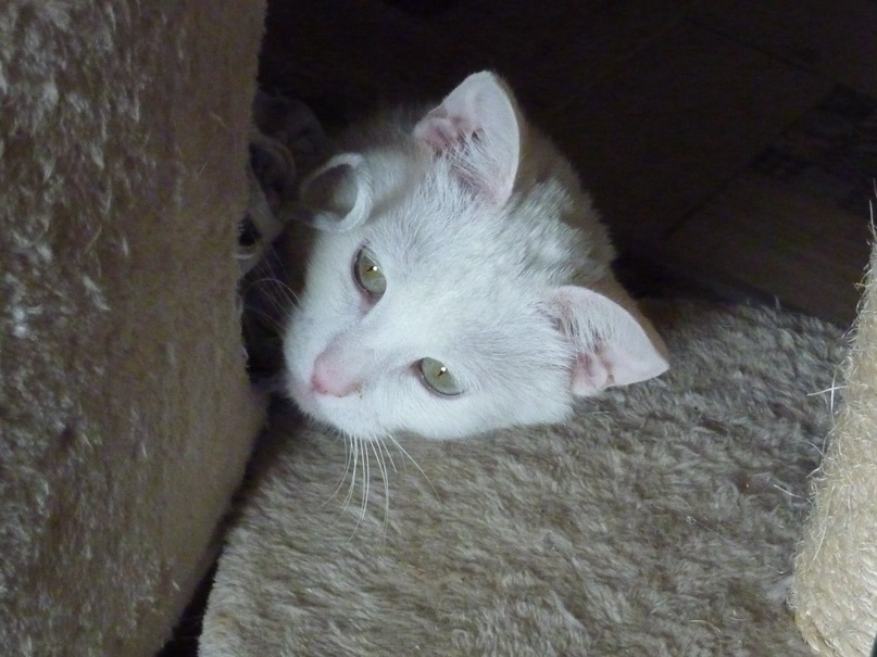 Наталья Ульянова | Москва