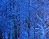 Татьяна Мозолева | Санкт-Петербург