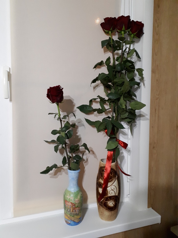 Светлана Петровичева | Калуга