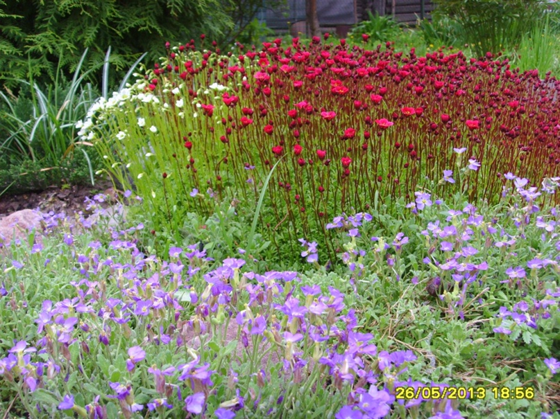 Мария Хохлова | Череповец