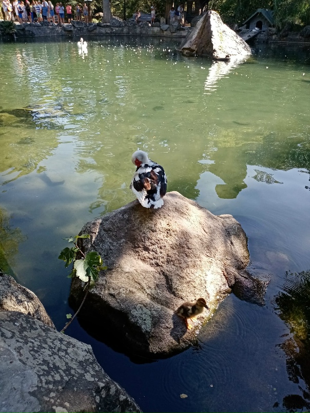 Александра Виноградова | Волгоград