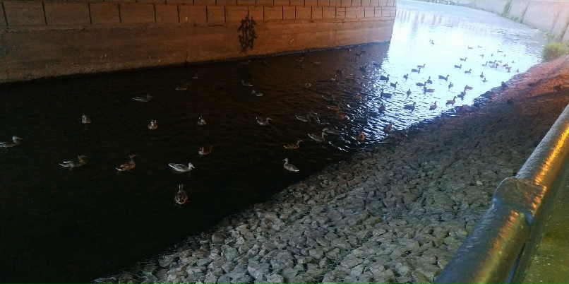 Андрей Железнов | Иваново