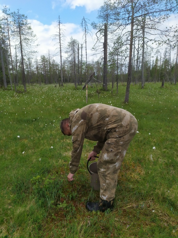 Александр Кокшин | Санкт-Петербург