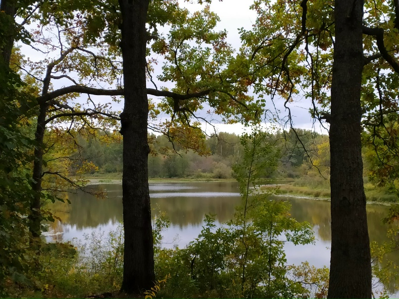 Михаил Постнов | Ковров