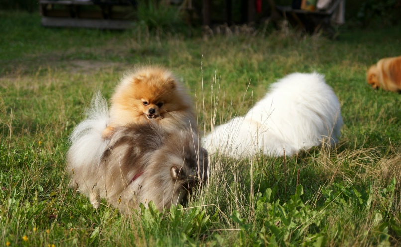 Мария Николаева ???? LAGUZ ???? | Санкт-Петербург