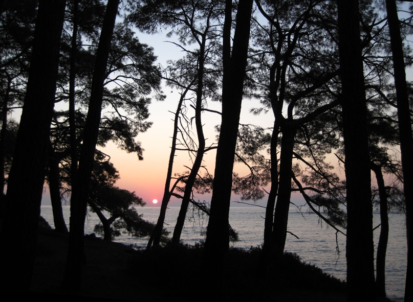 Елена Журавлева | Санкт-Петербург