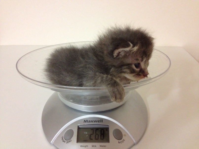 Светлана Гиль | Самара