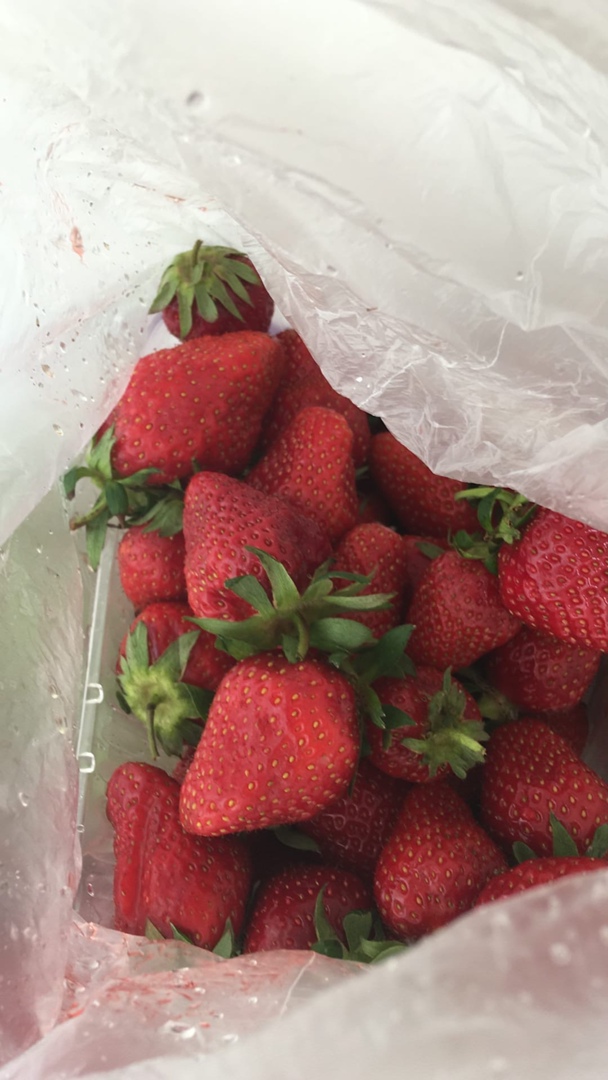 Лия Тихонова | Краснодар