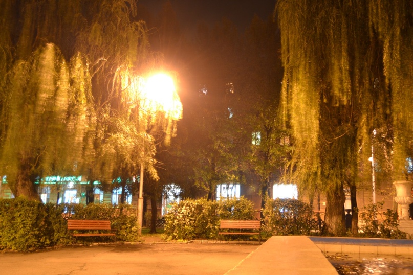 Александр Литвин
