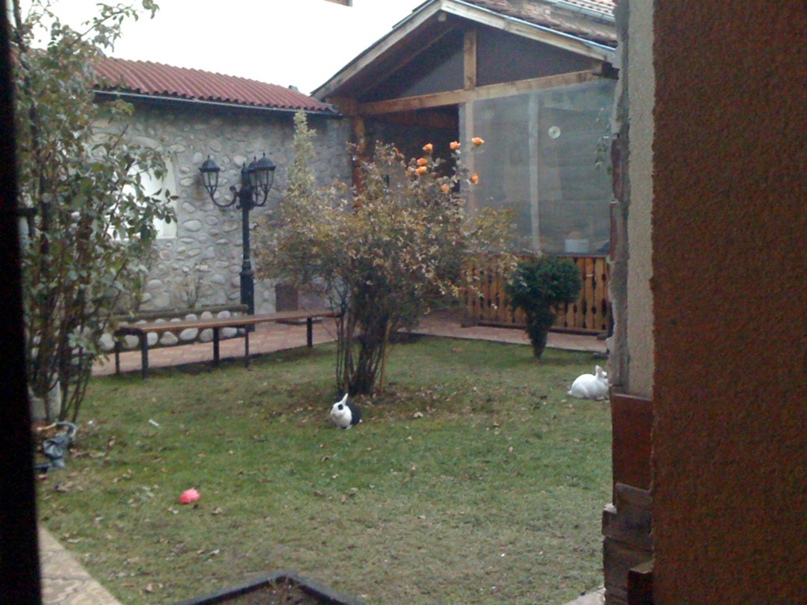 Анна Вакуленко | Чернигов