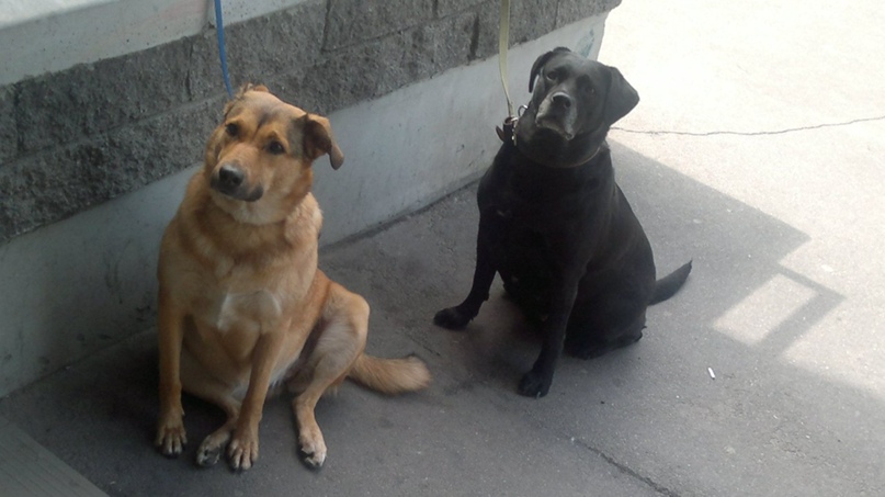 Владимир Юрьевич | Санкт-Петербург