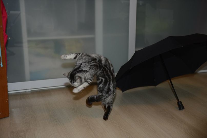 Татьяна Говор | Москва