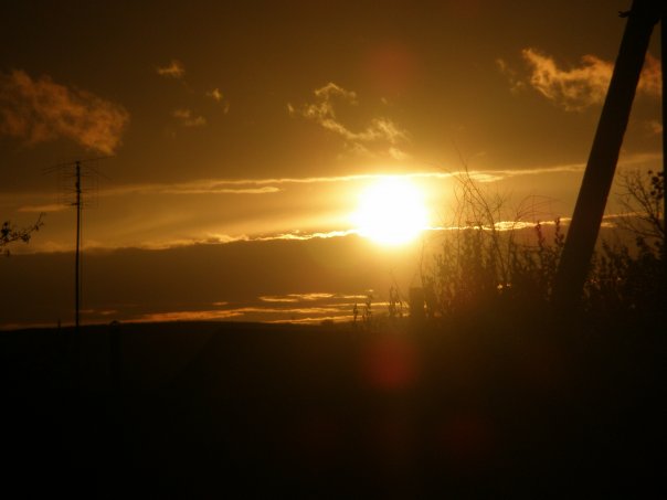 Тёма Калинин @@ Crazy Cat @@ | Киев